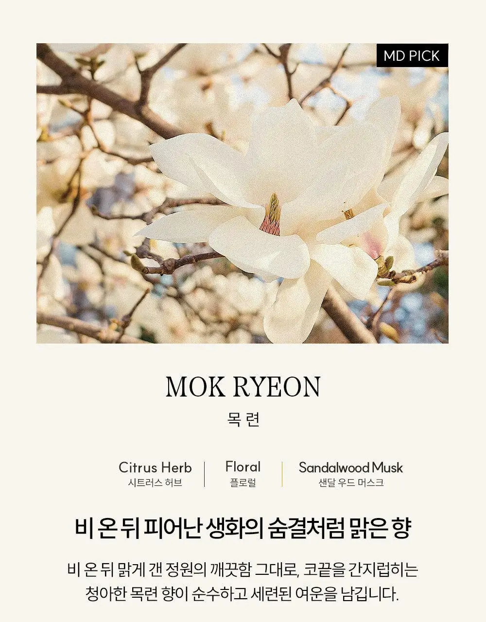 [New/위스키향] 코칸 오브제 디퓨저 170ml 브루클린 재즈 상세페이지 31